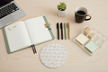 THE OFFICE AESTHETIC DESK KIT - 7 piece corporate baddie desk set flat lay